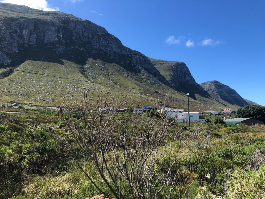 0 Bedroom Property for Sale in Bettys Bay Western Cape